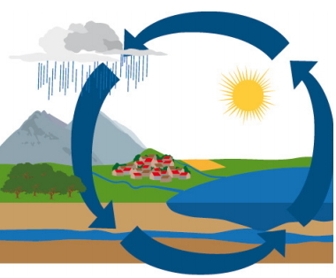 El ciclo del agua en la Tierra. Experimento de Medio ambiente para niños de 8 a 12 años