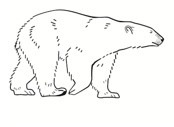 Pregunta liberada TIMSS-PIRLS de biología sobre osos polares y morsas. Problemas de biología IV
