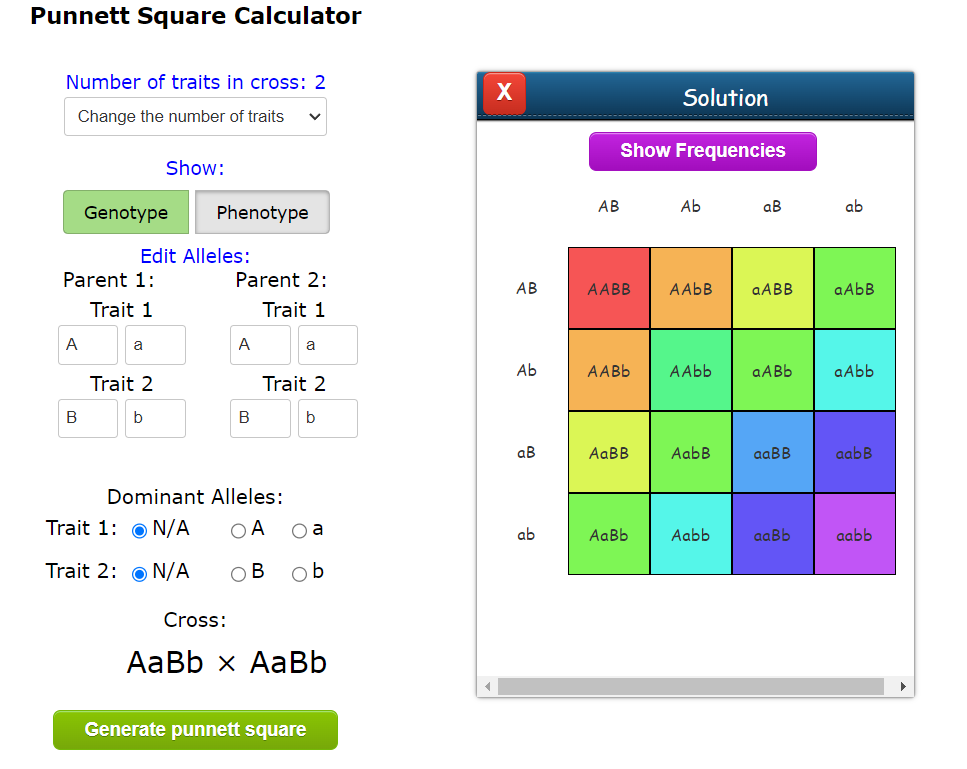 Punnett Square Calculator