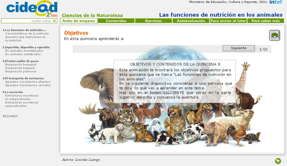 Conversacional bruja básico Las funciones de nutrición en los animales (cidead) - Didactalia: material  educativo