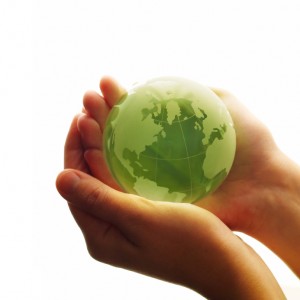 Fundación Vida Sostenible, recursos educativos de Gestión Ambiental