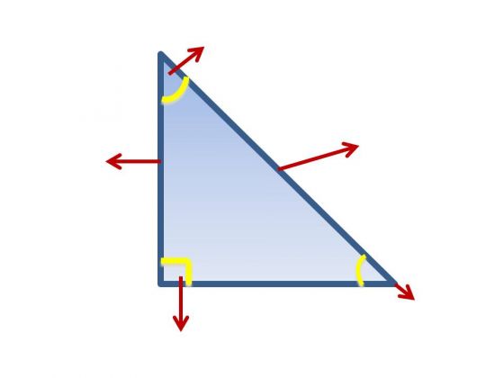 Triángulo Rectángulo Identificar Partes Didactalia Material Educativo