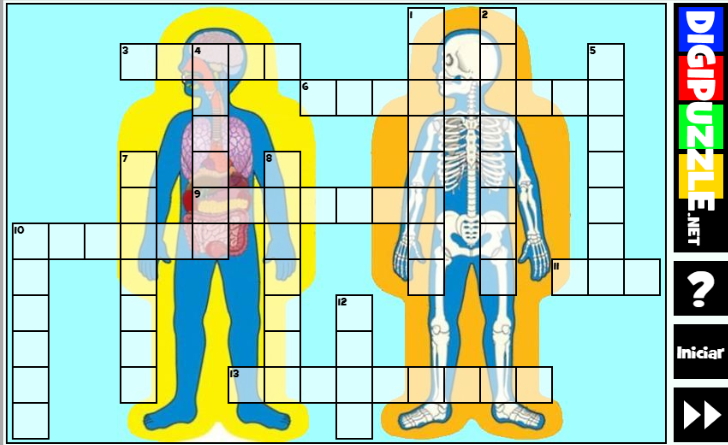 Crucigrama del Cuerpo humano (Digipuzzle.net)