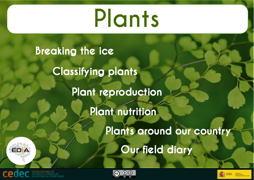 Plants. EDIA Project - Cedec