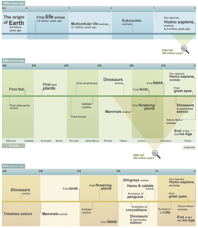 Geological Timeline. History of life on Earth (BBC Nature)