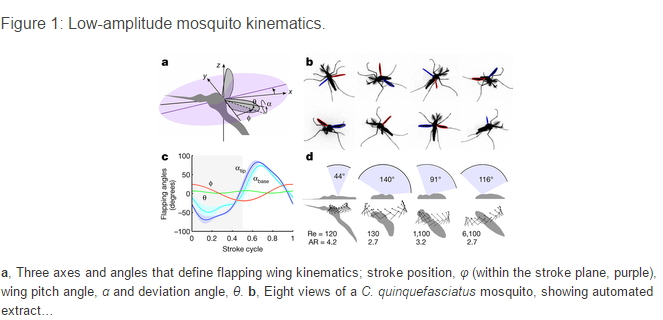 La física del vuelo inteligente del mosquito (Infografía de La Razón)