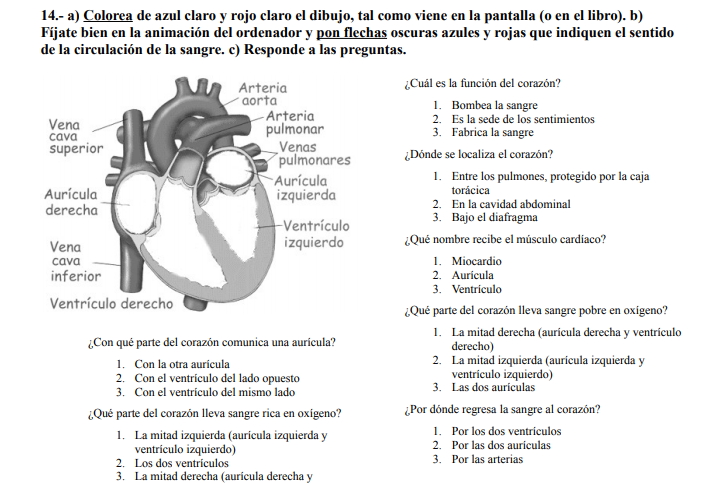 Aparatos circulatorios y excretor (actividades pdf)
