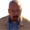Walter white