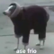 elpi tolargo VÁZ