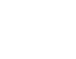 Auditores Internos