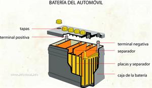 Batería del automóvil (Diccionario visual)
