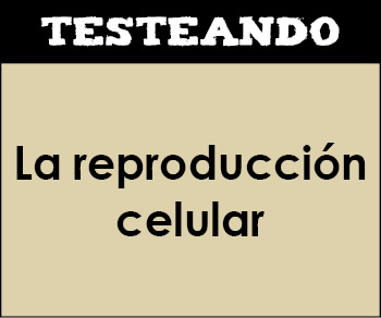 La reproducción celular. 4º ESO - Biología (Testeando)