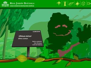 Olmo Pantalones nos presenta el Real Jardín Botánico de Madrid (Museo Virtual de la Ciencia CSIC)