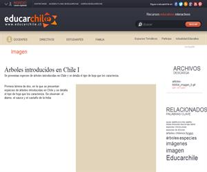 Árboles introducidos en Chile I (Educarchile)