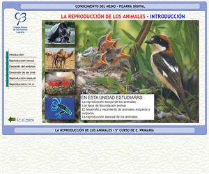 La reproducción de los animales – Conocimiento del medio – 3º Ciclo de E. Primaria – Unidad didáctica.