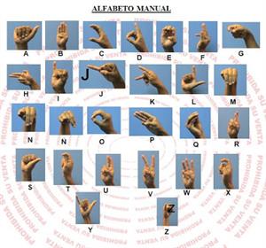Lengua de Señas a tu alcance: El Alfabeto Manual Venezolano