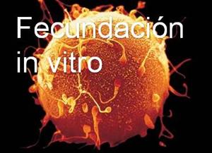 Fecundación in vitro, proyecto de investigación de alumnos (2º Bachillerato)