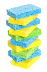 Which Type of Sponge Holds the Most Water?