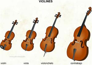 Violines (Diccionario visual)