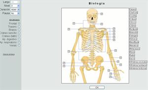 Ejercicios de Anatomía humana (Thatquiz)