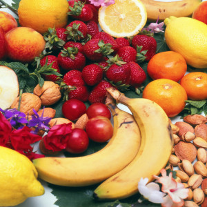 Alimentos y nutrientes (Plan Ceibal)