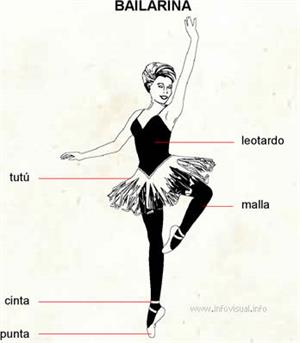 Bailarina (Diccionario visual)