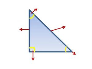Triángulo rectángulo - Identificar partes