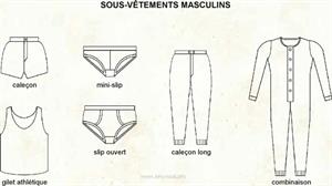 Sous-vêtement masculins (Dictionnaire Visuel)