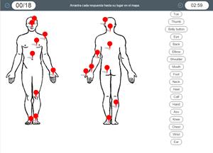 Human Body parts. Partes del cuerpo humano en inglés (Cerebriti)