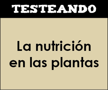 La nutrición en las plantas. 1º Bachillerato - Biología (Testeando)