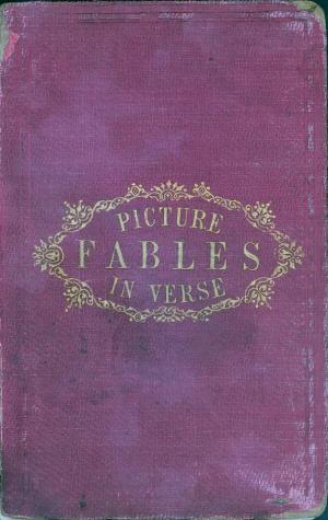 Picture fables in verse (International Children's Digital Library)