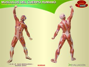 Evaluación de todos los músculos del cuerpo humano ( gobiernodecanarias.org)