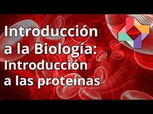 Introducción a las proteínas