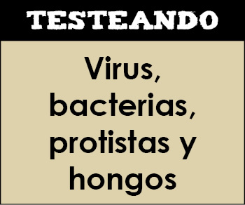 Virus, bacterias, protistas y hongos. 1º ESO - Ciencias de la Naturaleza (Testeando)