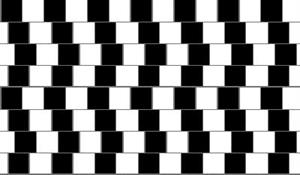 ¿Recto o inclinado? una ilusión óptica de Pilosos.com