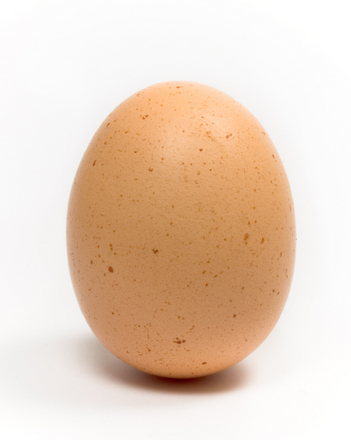 Naked Egg