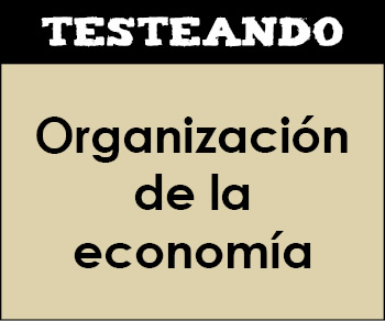 La organización de la economía. 1º Bachillerato - Economía (Testeando)