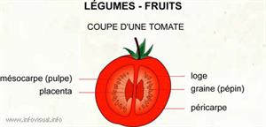 Légumes - fruits (Dictionnaire Visuel)