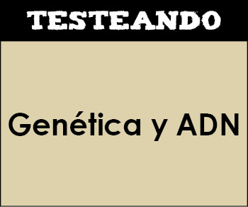 Genética y ADN. 2º Bachillerato - Biología (Testeando)