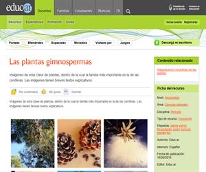 Las plantas gimnospermas