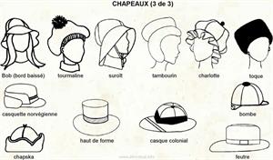 Chapeaux 3 (Dictionnaire Visuel)