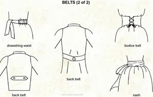 Belts  (Visual Dictionary)