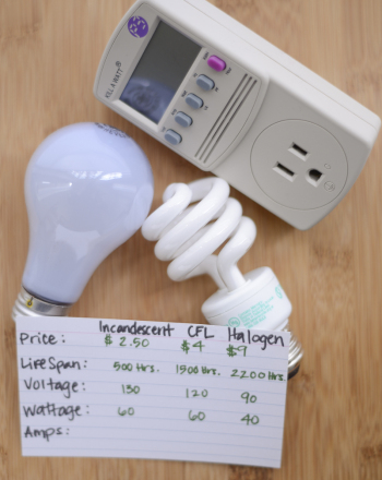 Shedding Light on Energy Efficient Bulbs