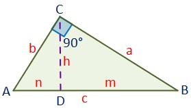 Triángulos Rectángulos
