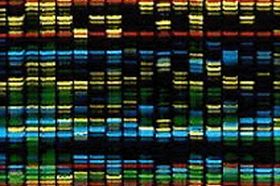 Genoma humano: el secreto de la vida
