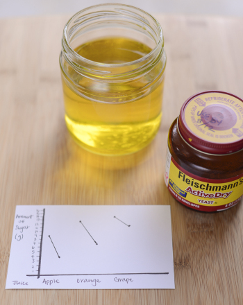 Fermentation as a Function of Sugar Content in Fruit Juice