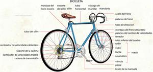 Bicicleta (Diccionario visual)