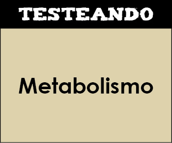 Metabolismo. 2º Bachillerato - Biología (Testeando)