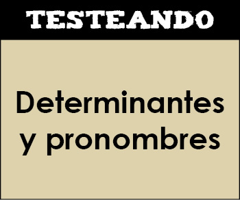 Los determinantes y los pronombres. 5º Primaria - Lengua (Testeando)