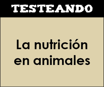 La nutrición en animales. 1º Bachillerato - Biología (Testeando)